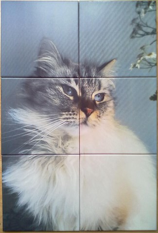 Décor personnalisé - chat en céramique